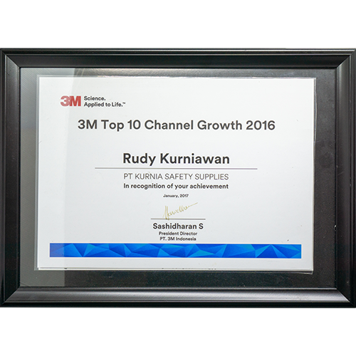 3M Top 10 Channel Growth 2016